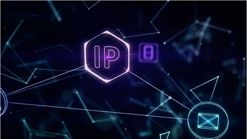 网络世界的身份证 IP地址的角色、应用与分配机制