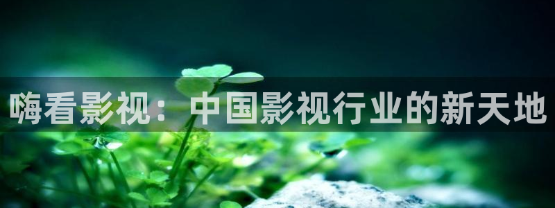 红叶影院app