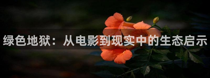 六安红叶影城今日影讯