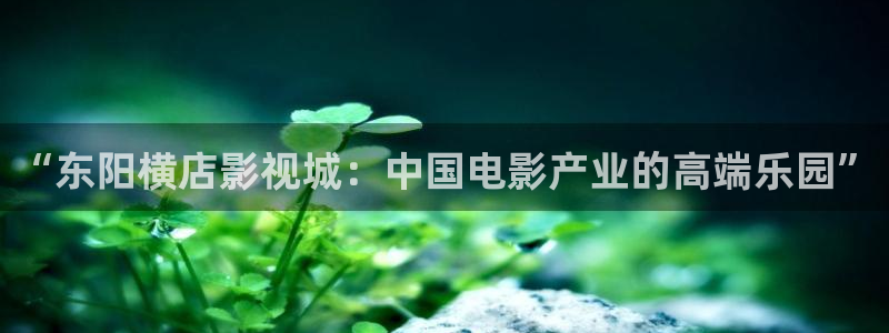 红叶电影今日影讯