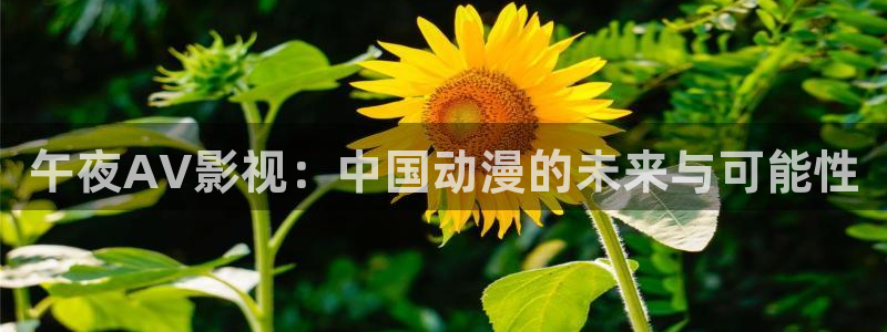 红叶电影今日影讯