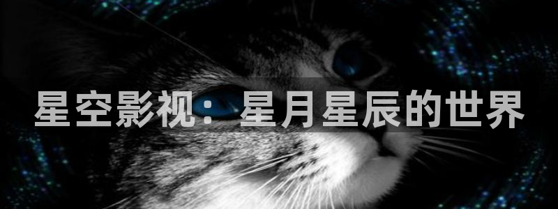 六安红叶影城电影