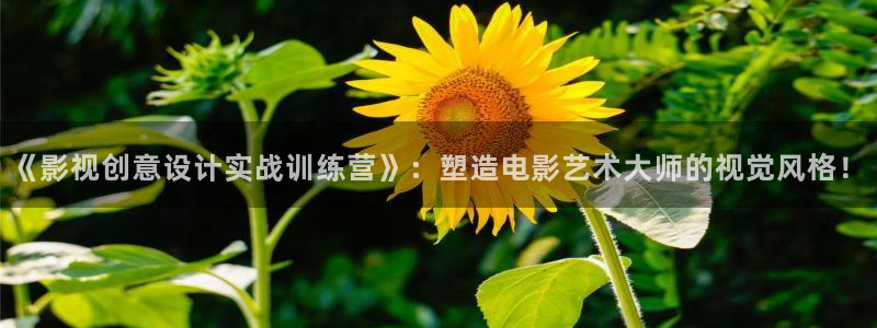 红叶电影