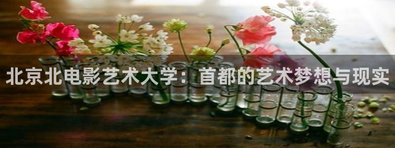 六安红叶国际影城