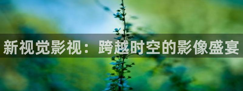 红叶电影今日影讯：新视觉影视：跨越时空的影像盛宴