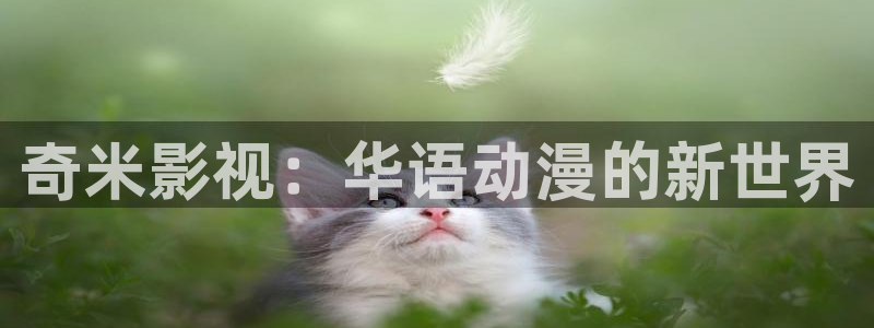 红叶影院：奇米影视：华语动漫的新世界