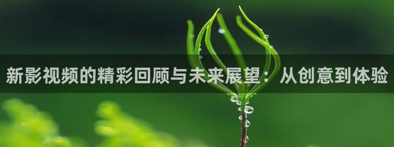 红叶影城影讯：新影视频的精彩回顾与未来展望：从创意到体验